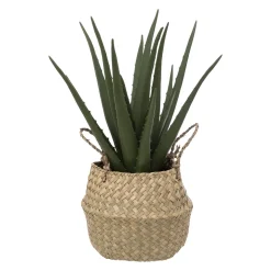 ATMOSPHERA Aloe vera artificiel Best