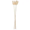 ATMOSPHERA Bouquet de plantes séchées Clearance