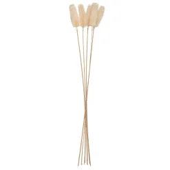 ATMOSPHERA Bouquet de plantes séchées Clearance