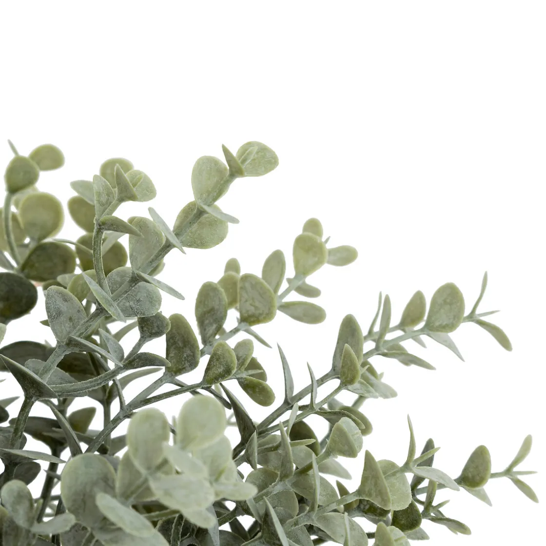 ATMOSPHERA Bouquet eucalyptus artificiels "James" Online