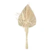 ATMOSPHERA Bouquet fleurs séchées "Sea view" Hot