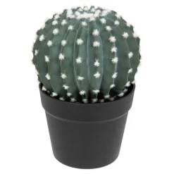 ATMOSPHERA Cactus rond "Exotic Panama" Online