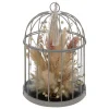 ATMOSPHERA Cage New