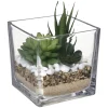 ATMOSPHERA Composition des plantes arificielles New