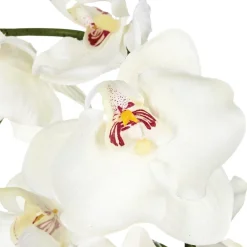 ATMOSPHERA Composition d'orchidées artificielles Outlet