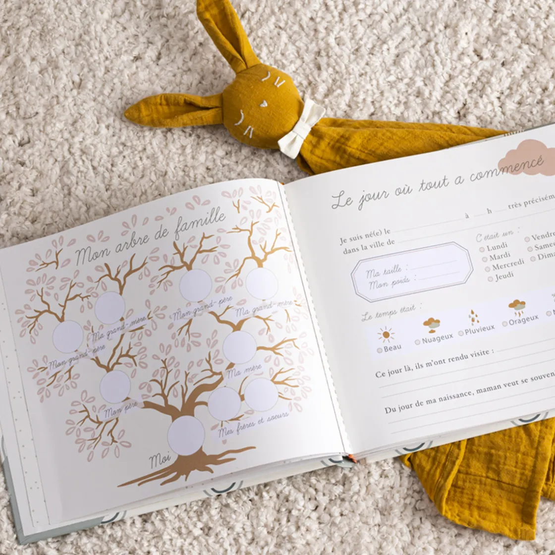ATMOSPHERA Livre de naissance bébé Online