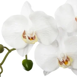 ATMOSPHERA Orchidée artificielle Clearance