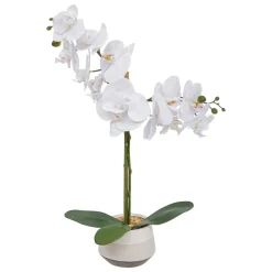 ATMOSPHERA Orchidée artificielle "Clera" Outlet