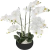 ATMOSPHERA Orchidée artificielle en pot "Orchidée"
