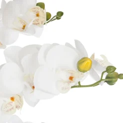 ATMOSPHERA Orchidée artificielle en pot "Orchidée" Online