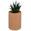 ATMOSPHERA Plante artificielle Clearance