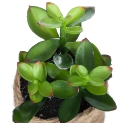 ATMOSPHERA Plante artificielle Hot