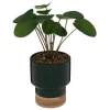 ATMOSPHERA Plante artificielle Hot