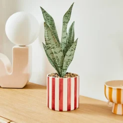 ATMOSPHERA Plante artificielle en pot "Cheri" Clearance