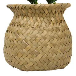 ATMOSPHERA Plante artificielle en pot 