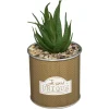 ATMOSPHERA Plante artificielle "Message" en pot Best
