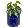 ATMOSPHERA Plante artificielle "Soleya" Clearance