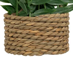 ATMOSPHERA Plante artificielle suspendue 