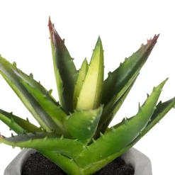 ATMOSPHERA Plante grasse artificielle Outlet