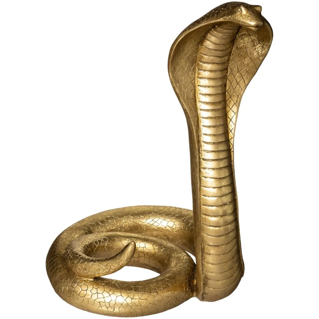 ATMOSPHERA Serpent cobra Hot