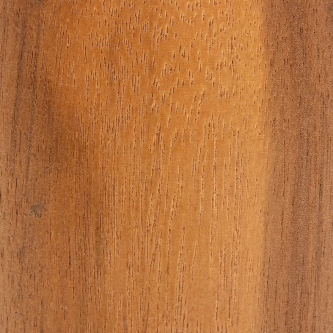 ATMOSPHERA Soliflore "Siera" Hot