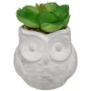 ATMOSPHERA Succulente artificielle Best