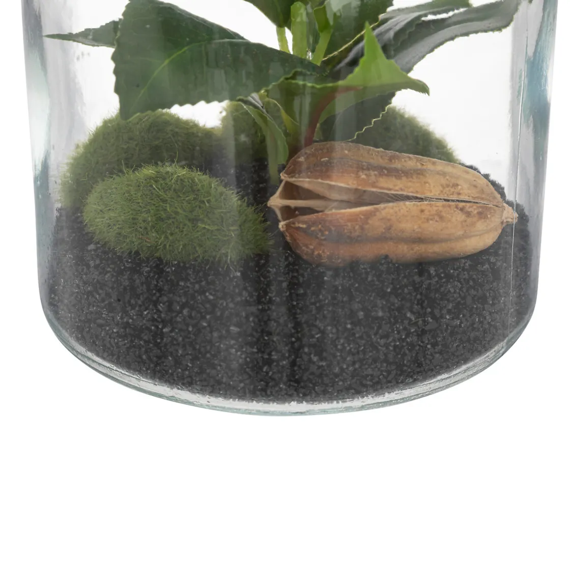 ATMOSPHERA Terrarium "Bota", verre Hot