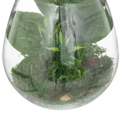 ATMOSPHERA Terrarium