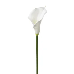 ATMOSPHERA Tige d'arum artificiel Best