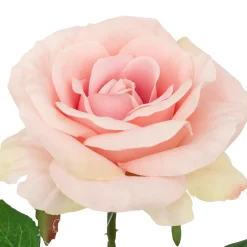 ATMOSPHERA Tige de rose artificielle