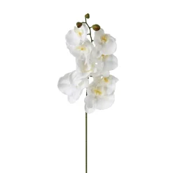 ATMOSPHERA Tige d'orchidée artificielle Discount
