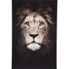 ATMOSPHERA Toile encadrée "Animaux"
