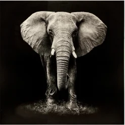 ATMOSPHERA Toile imprimée "Animaux" Online